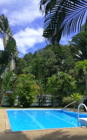 Resort 300 480 Pool 004